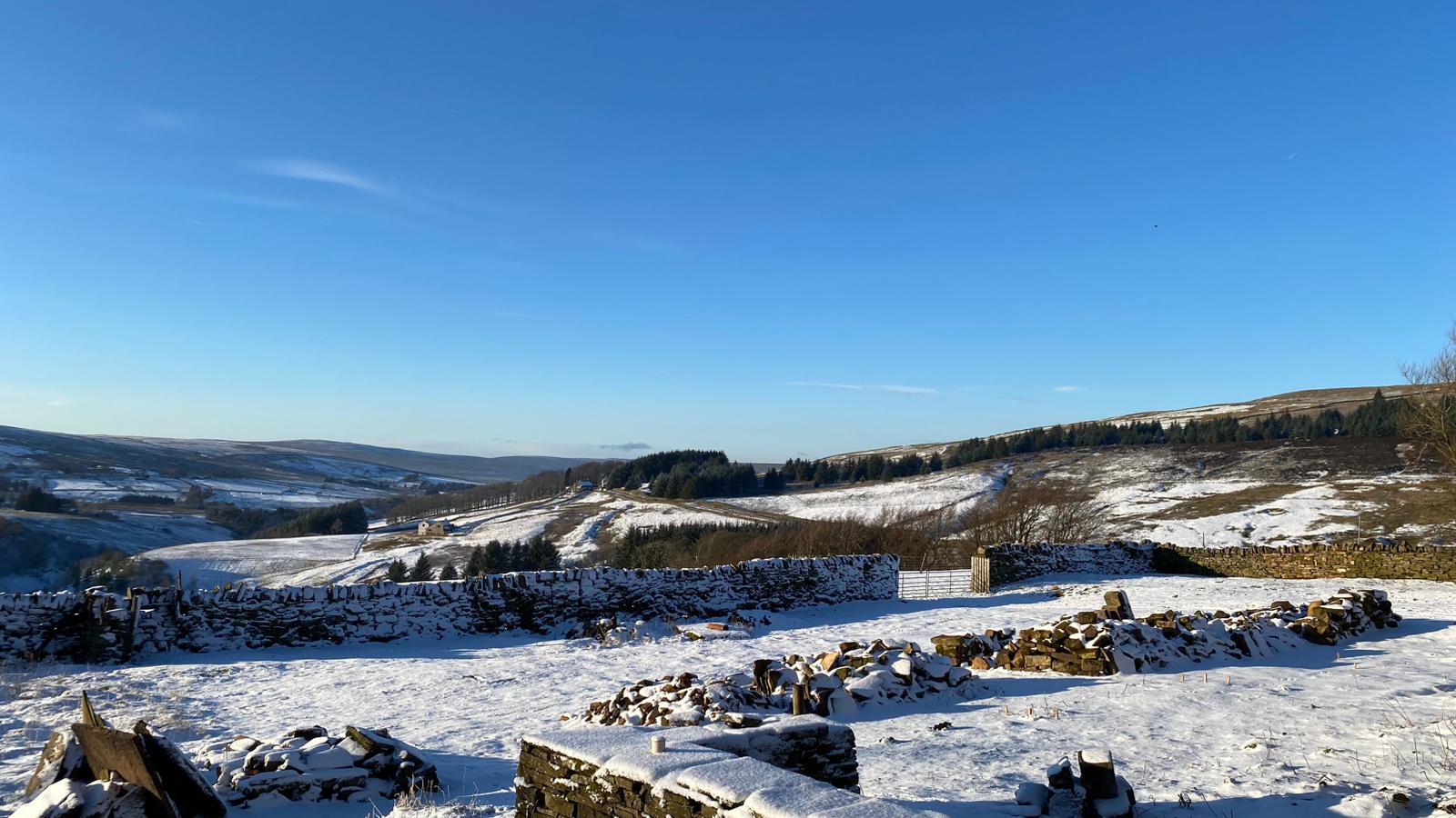 View From House Winter