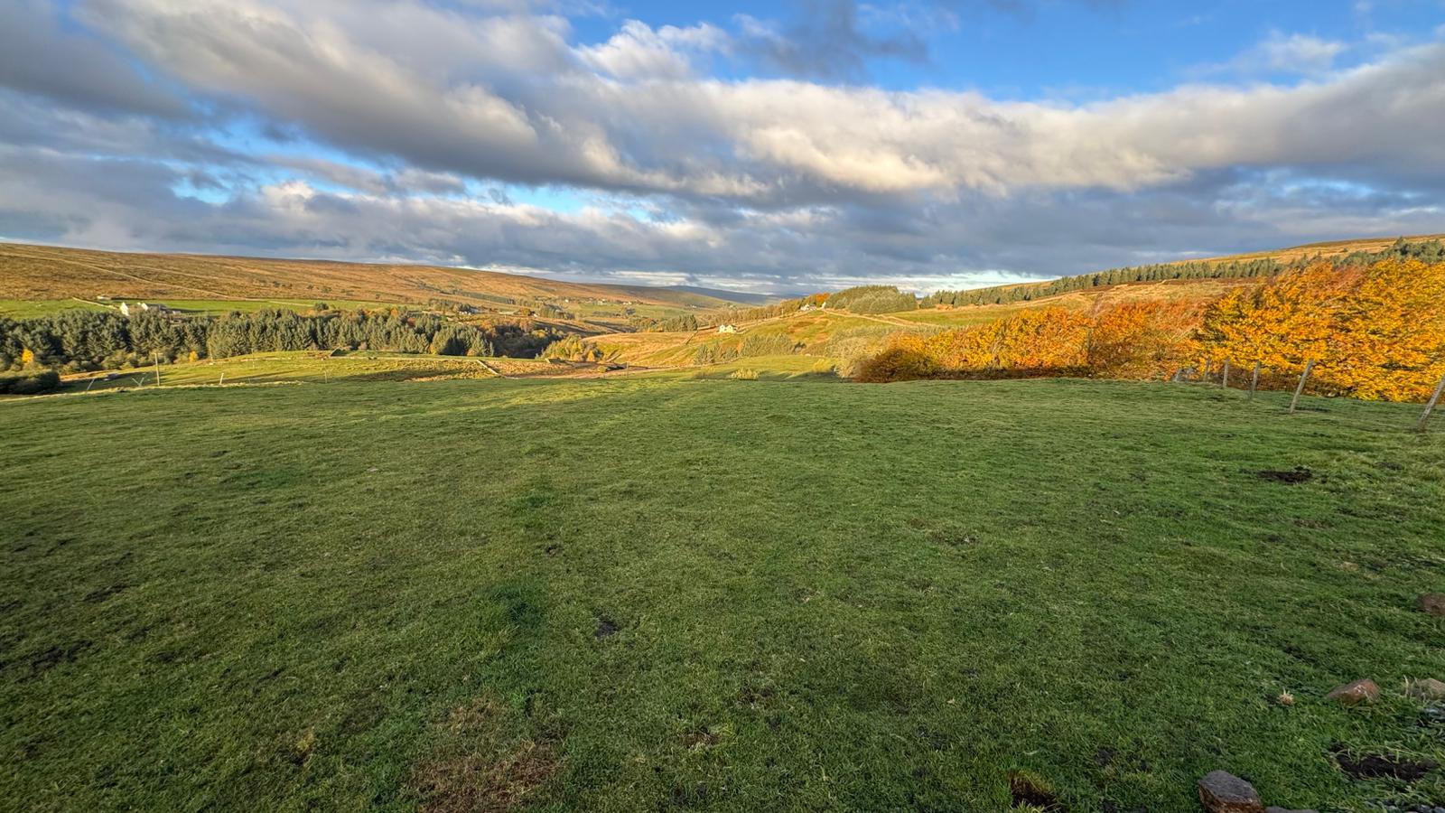 View from House - Summer